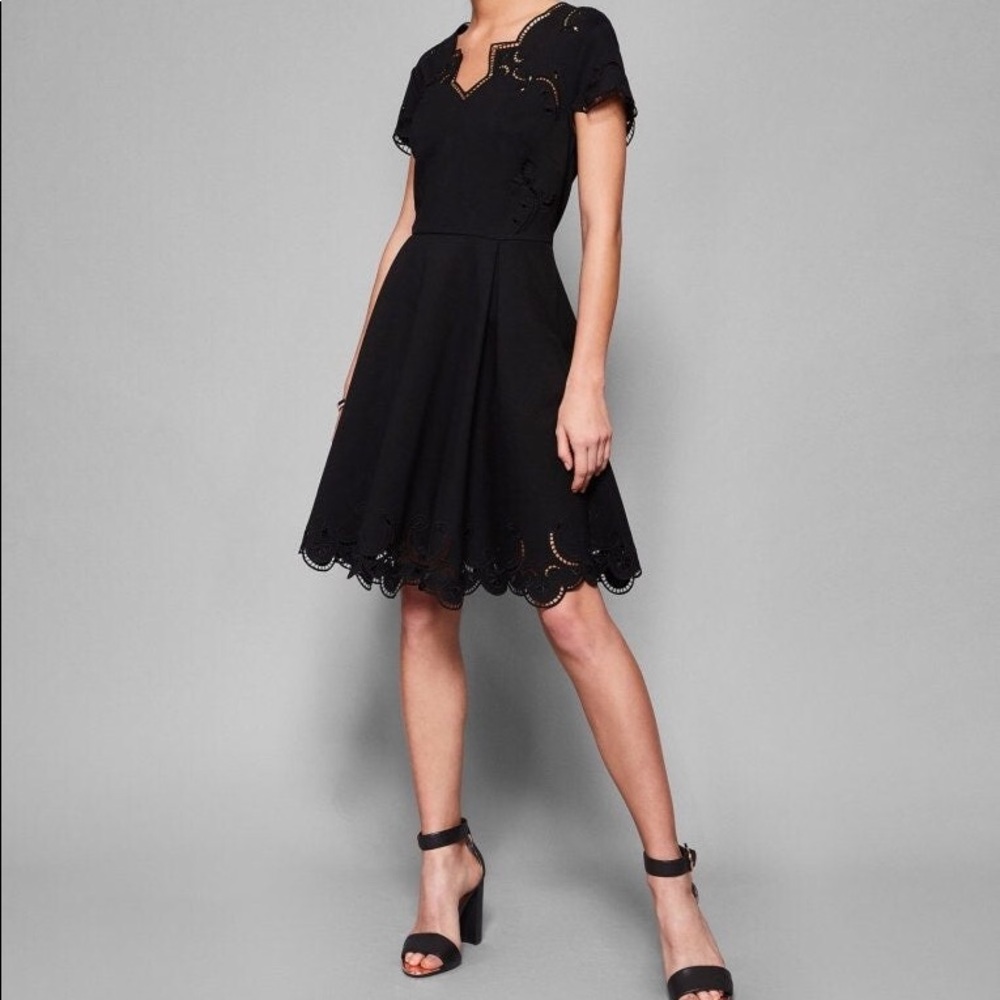 Ted Baker Saloane V neck embroidered skater dress